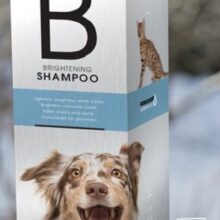 Brightening Shampoo