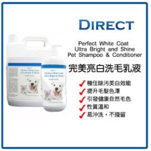 DIRECT 完美亮白洗毛乳及護毛液 5L