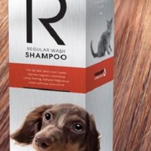 Regular Wash Shampoo