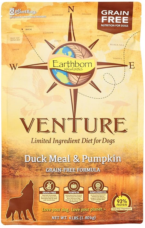 venture duck and pumpkin