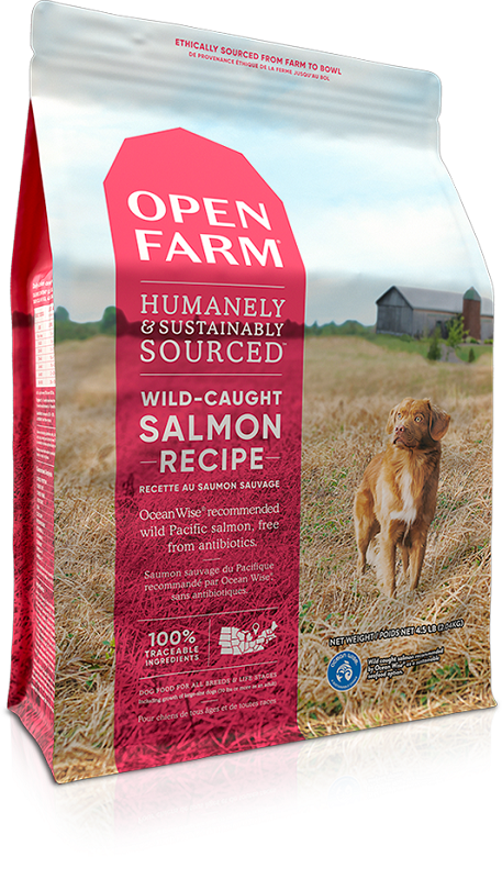 OPEN FARM Salmon Recipe